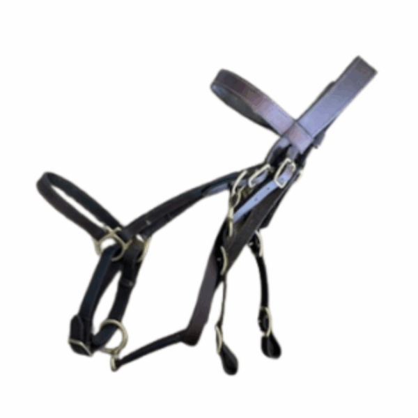 2-in-1 Leather Halter Bridle with 8' Reins – Used (Large Size)