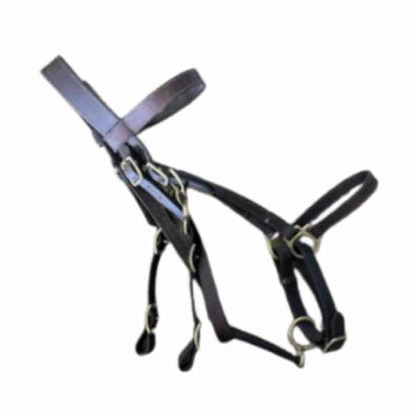 2-in-1 Leather Halter Bridle with 8' Reins – Used (Large Size)