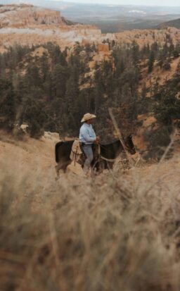 joshua-koblin-a2W6n7O4qrI-unsplash