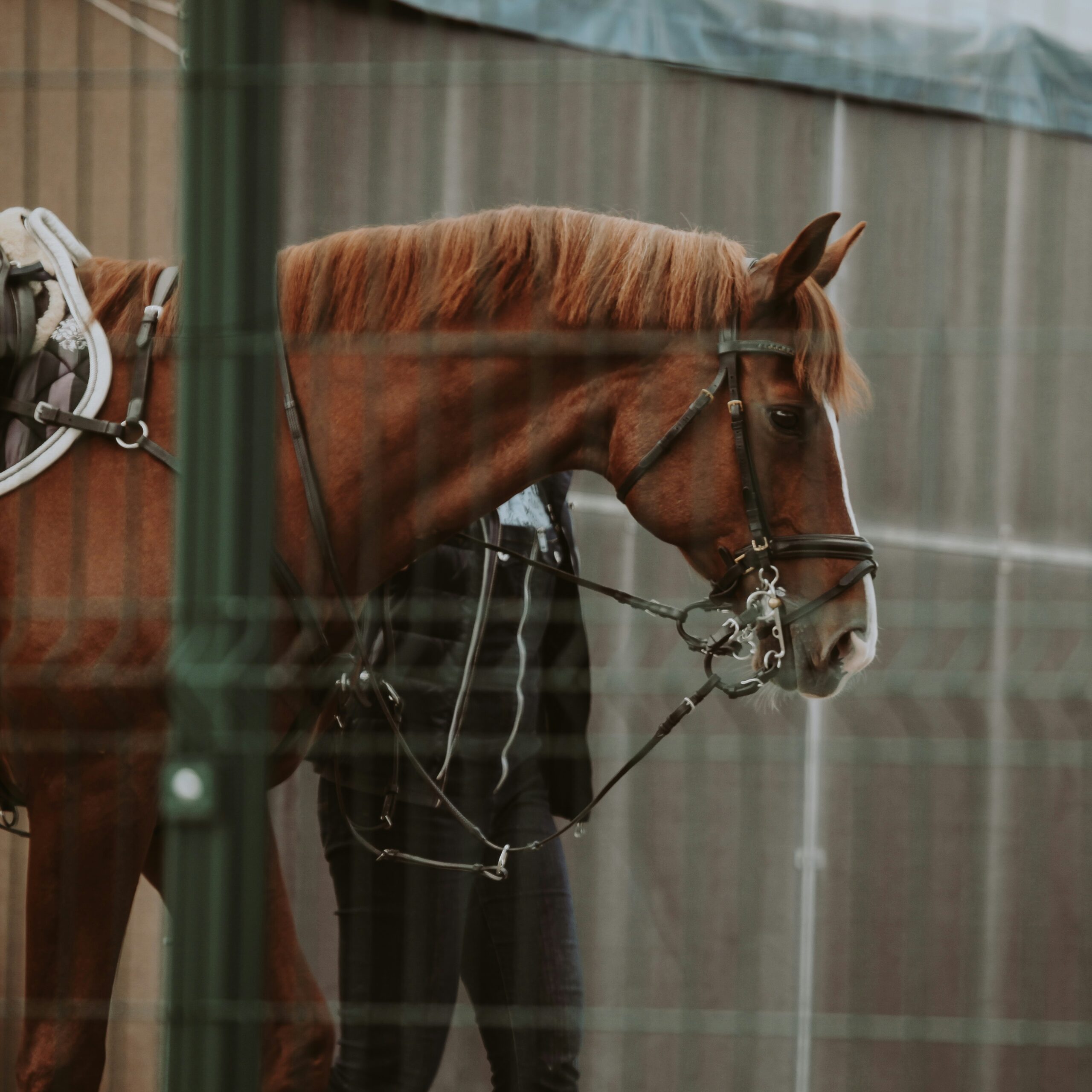 valerie-semenova-Oy5vpi88LtA-unsplash